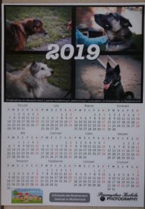 Kalendarz 2019r.