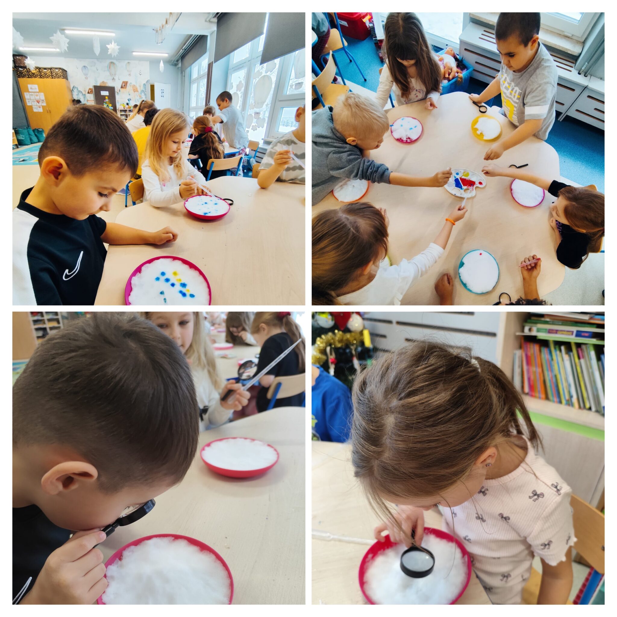 Zdjęcie 3