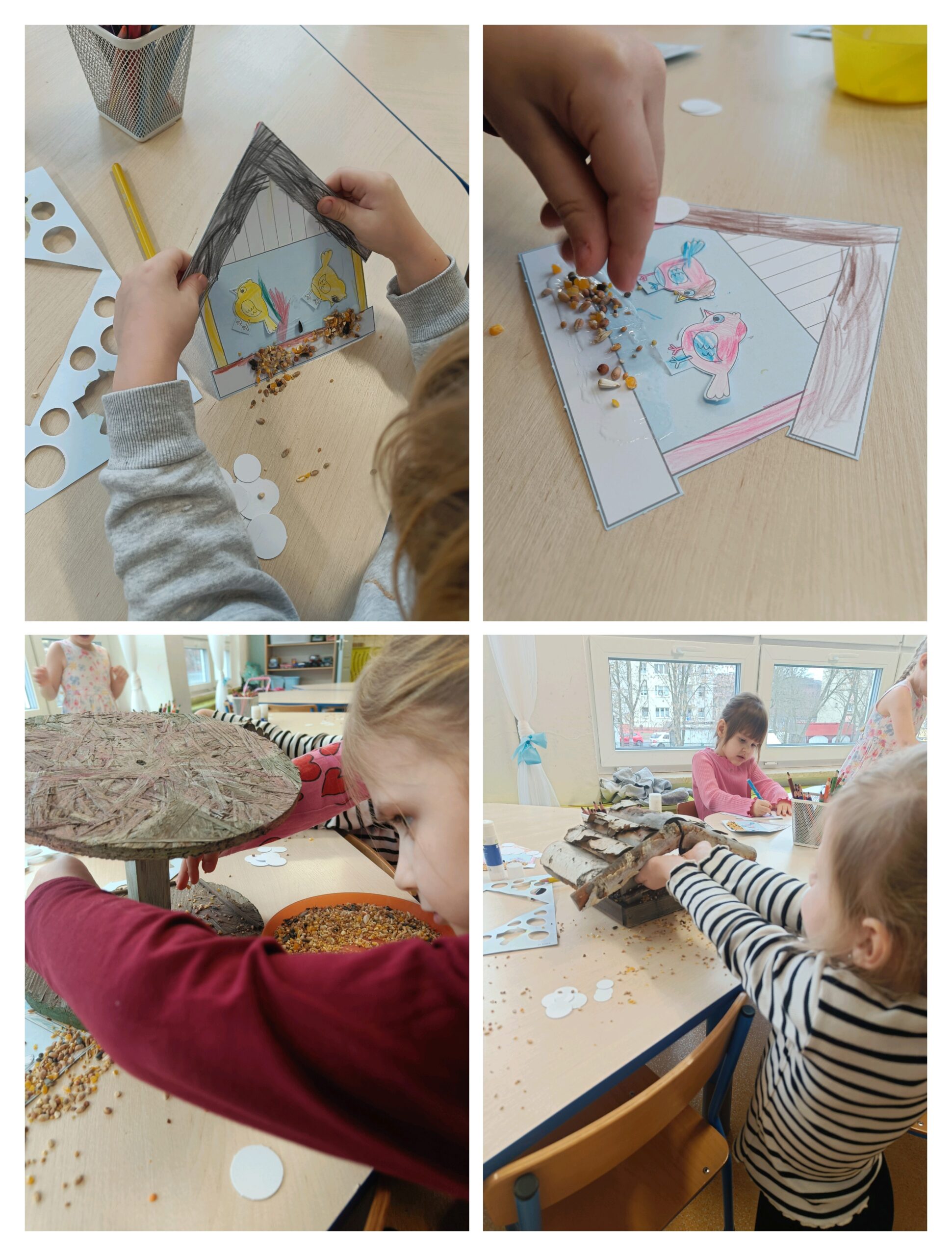 Zimą pamiętamy o dokarmianiu ptaków 🐦