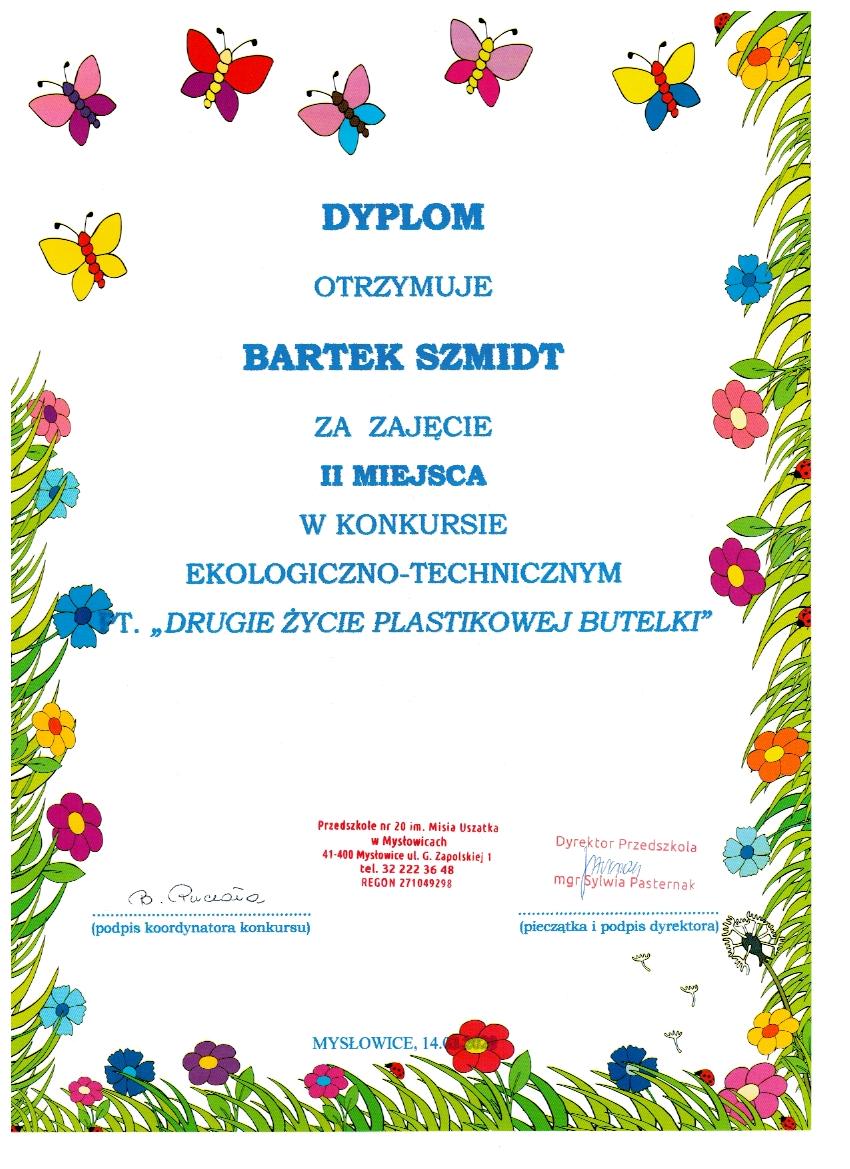 Dyplom 1