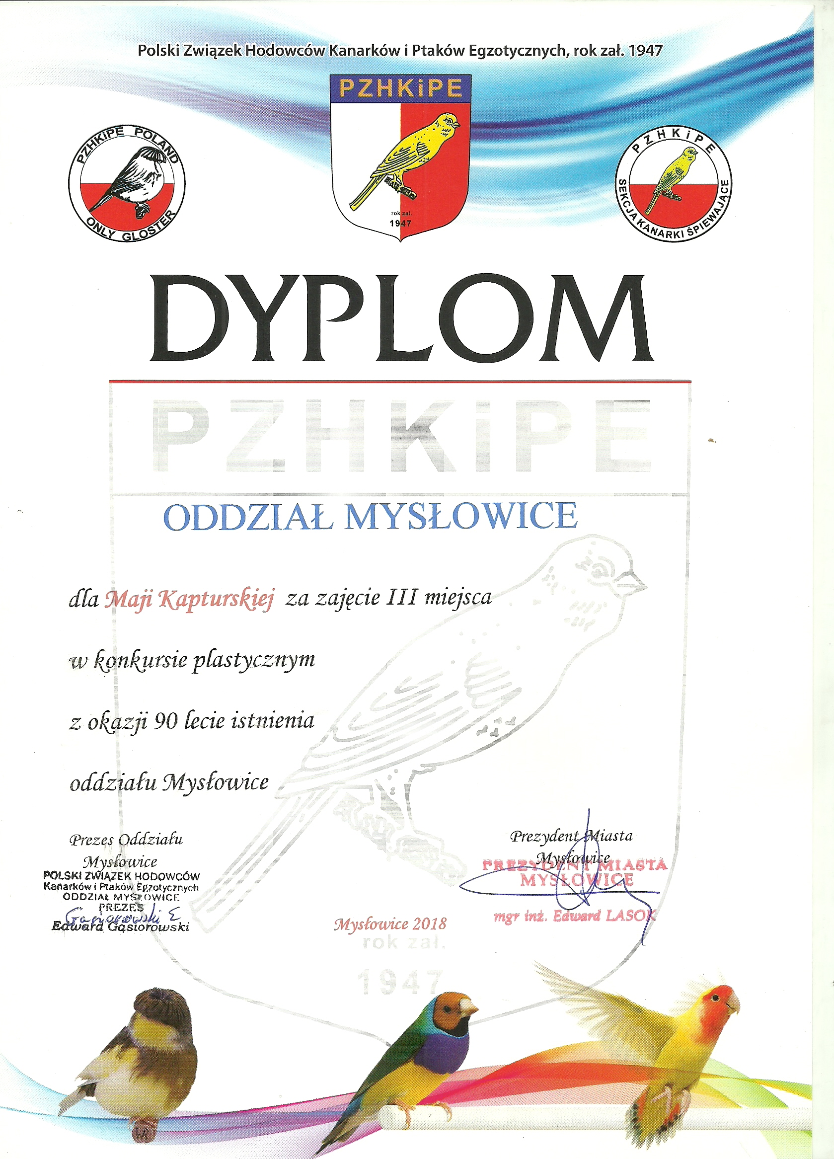 Dyplom 33